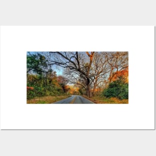 Hairy Man Road - Brushy Creek- Round Rock, Texas Posters and Art